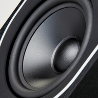 PMC prophecy5 variant 3