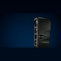 Borresen Acoustics Børresen Z5 variant 1