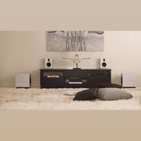 Steinway Lyngdorf Model S-210 variant 3