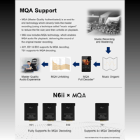 Cayin N6ii variant 3