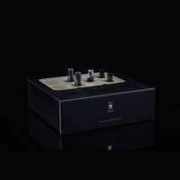 SW1x LPU IV Phono Pre-Amplifier variant 2