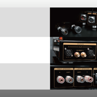 Cayin HA-300MK2 variant 9