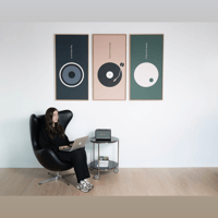 Vicoustic Echo Frame Music variant 5