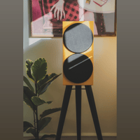 Buchardt Audio Anniversary 10 Color Edition variant 8