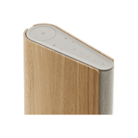 B&O-Bang & Olufsen  Beosound Emerge variant 5