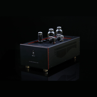SW1x MPA V “Atlas” PP Mono Power Amplifier variant 5