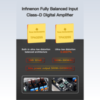 FX Audio L06 Fully balanced line architecture power amplifier variant 5