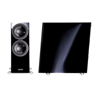 PMC twenty5.sub variant 2