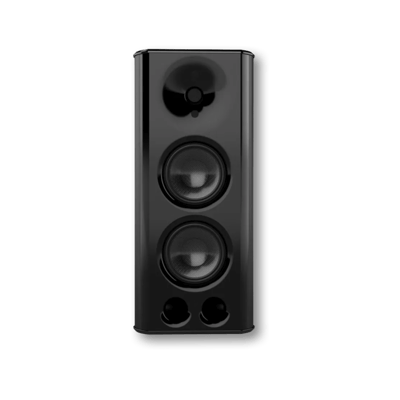 Theory Audio Design sb25 High Output Multi-Use Loudspeaker