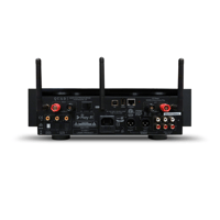 Quad Artera Solus Play variant 4