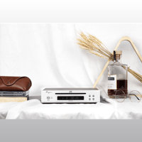 Cayin MINI-CD MK2 variant 7