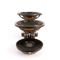 Xavian Virtuosa Anniversario variant 11