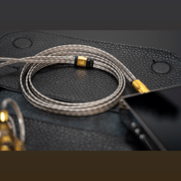 Campfire Audio Time Stream: Silver variant 4