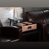 Merrill Audio Element 114 Stereo Power Amplifier variant 3