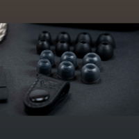 Vision Ears VE ZEN variant 10