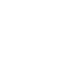 Zshifi Logo