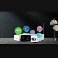 Cayin iDAP-8 variant 6