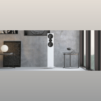 Acoustic Energy AE509 variant 7