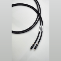 Jorma Audio Duality variant 4