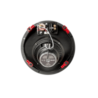 MartinLogan IC6-HT variant 6