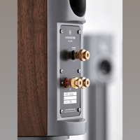 Audiovector R 1 variant 6