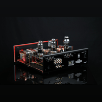 SW1x AMP III “Trinity” Integrated Amplifier variant 15