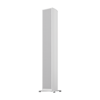 Piega usa Premium Wireless Gen2 501 Speakers [Pair] variant 16