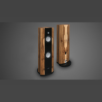 Ayon audio Ayon BlackRaven variant 6