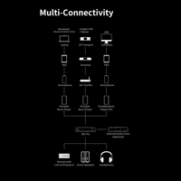 Aune aune S9c Pro DAC with Headphone Amp with AL3 XLR Balanced Male to Female 3-Pin Audio Cable 1 Pair variant 27