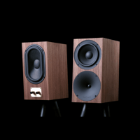 Buchardt Audio S400 MKII variant 13