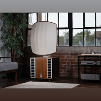 MC Audiotech The Legacy Forty-10 Loudspeaker variant 1