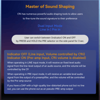 Cayin C9ii Titanium Color Edition variant 16