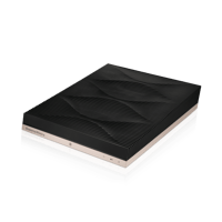 Bowers & Wilkins Formation Audio variant 3