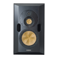 Fostex RS-N2 variant 1