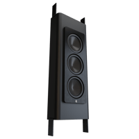 Perlisten D3is variant 3