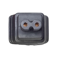 Pangea Audio Pangea Audio IEC-C7 Adapter variant 3