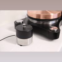 TW-Acustic Raven Anniversary variant 6