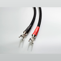 Jorma Audio Trinity variant 15