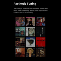 Aune Yuki USB DAC with Headphone Amp variant 18