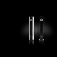 Brodmann F1 variant 1