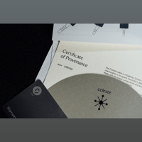 DITA Audio The Celeste variant 7