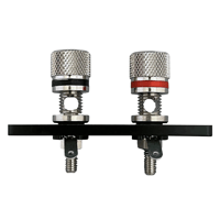 Fostex P24B variant 2