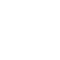 Sonus Faber Arena 5 variant 7