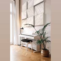 Vicoustic Cinema Piano VMT variant 4