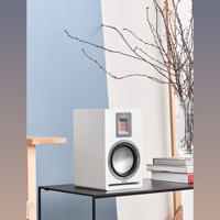 Audiovector QR 7 SE variant 6