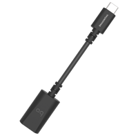 AudioQuest DragonTail USB-A > USB-C variant 2