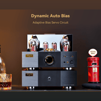 Cayin Soul 170HA variant 2