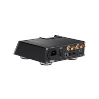 Hifiman DOCK-1 variant 4