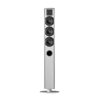 Piega usa Ace 50 Floorstanding Speakers [Pair] variant 4