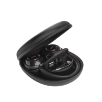 Mark Levinson № 5909 variant 10